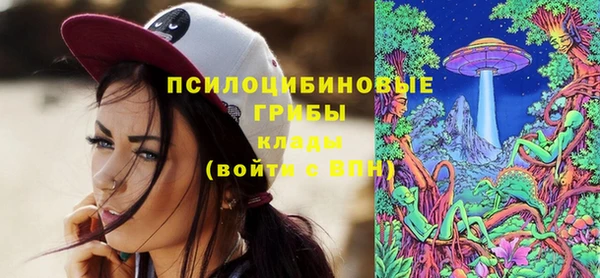 PSILOCYBIN Краснослободск