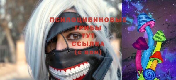 COCAINE Корсаков